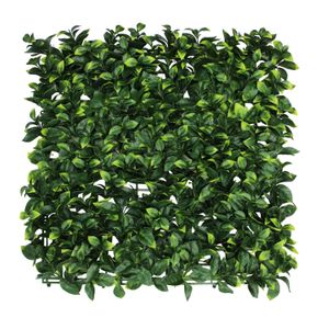 Jardin Vertical Madre Selva 0.50X0.50 - CASTER