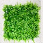 Jardin-Vertical-Mini-Helechos-0.50X0.50