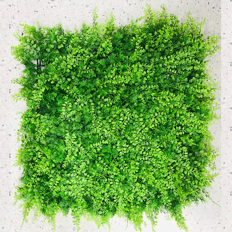 Jardin-Vertical-Mini-Helechos-0.50X0.50