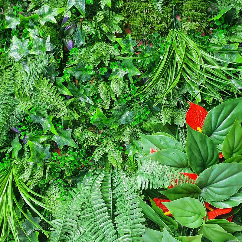 Jardin-Vertical-Salvaje-1X1M-Fopadi