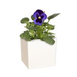 Maceta-Plast-Cuadrada-Oslo-17Cm-Bl-Artevasi