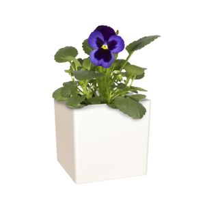 Maceta Plast Cuadrada Oslo 17Cm Bl Artevasi - ARTEVASI