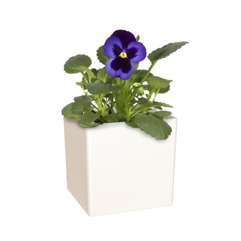 Maceta-Plast-Cuadrada-Oslo-17Cm-Bl-Artevasi
