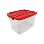 Organizador-movil