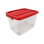 Organizador-movil