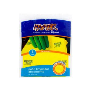 Panio Limpiador Absorbente Master Brill - MASTER BRILL