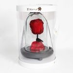 Rosa-Preservada-Roja-Urna-Cristal-Small