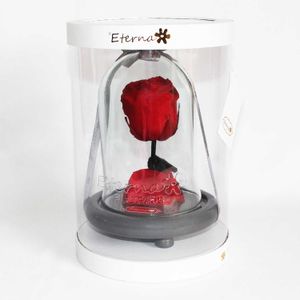 Rosa Preservada Roja Urna Cristal Small