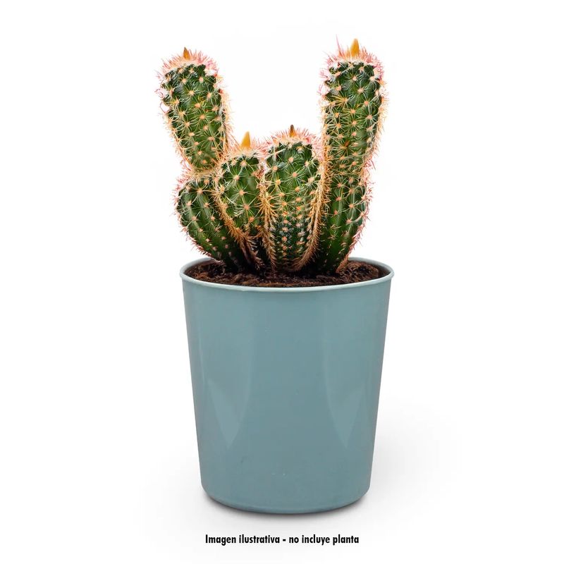 Macetero-plastico-pequeño-de-9.5-cm-de-diametro-y-0.4-litros-de-capacidad.-Ideal-para-plantas-pequeñas-o-cactus.