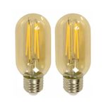Foco-LED-tipo-bombilla-VINTAGE.-CARACTERISTICAS--Consumo-6W-luz-amarilla-600-lm-vida-util-15.000-horas--pack-x-2