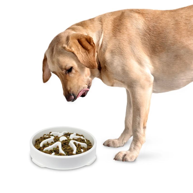 Plato-para-perro-de-27.5-x-5-cm-plastico.-Perfecto-para-calmar-el-estres-y-la-ansiedad-alimentaria-en-los-perros.