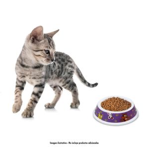 Plato para gato pequeño color blanco, fabricado en polipropileno rígido resistente a golpes - TINYS