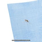 Malla-mosquitera-entrelazada-por-cuadros-de-0.2-x-0.2-cm.-Deja-pasar-la-brisa-del-viento-y-luz