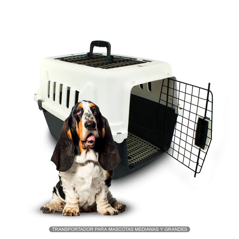 Transportador-de-mascotas---GRANDE--con-ventilas-soporte-de-piso-y-puerta-metalica.-K-HOME