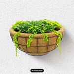 Maceta-de-pared-metalica-con-nido-interno-a-base-de-fibras-de-coco.-Ideal-para-retencion-de-agua-y-humedad-en-plantas.-Cafe-con-negro-K-HOME