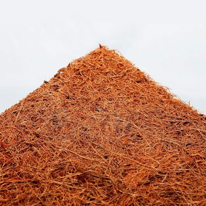 Fibra-de-coco-100--natural-multiusos--perfecta-para-usarse-en-macetas-terrarios-jardines-verticales-entradas-etc.-Cafe-K-HOME