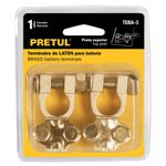 Blister-2-terminales-laton-poste-superior-p-bateria