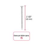 Blister-con-15-clavos-galvanizados-p-concreto-2-1-2-