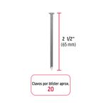Blister-con-20-clavos-estandar-2-1-2--con-cabeza