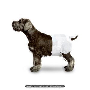 Pañales desechables para perros hembras ultra absorbentes a prueba de fugas. - PUPPY & CO
