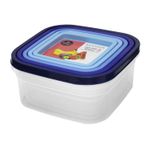 Set-de-contenedores-para-alimentos-cuadrados-de-0.4-0.7-1-1.6-y-2.4-litros.-Uso-seguro-con-alimentos--pack-x-5.