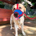 Bozal-para-mascota-MEDIANO-fabricado-con-materiales-suaves-y-confortables-con-circunferencia-del-hocico-de-10-12-cm.