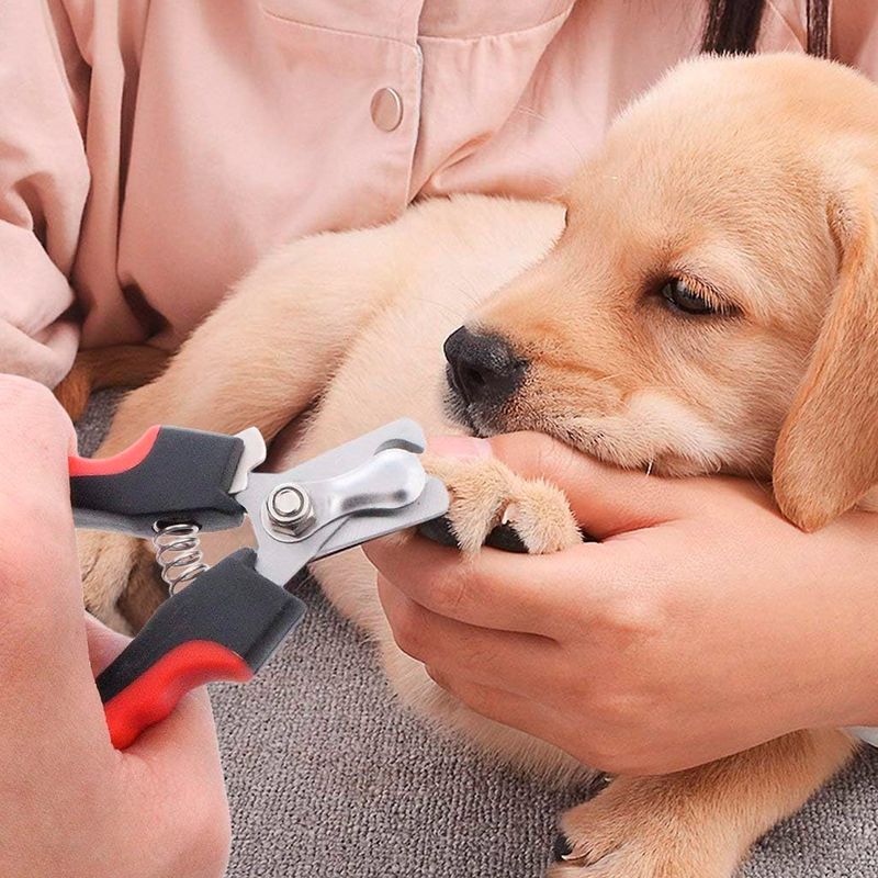 Corta-uñas-para-mascotas-con-cuchilla-de-1-cm--para-corte-de-uñas-de-perros-y-gatos-de-razas-pequeñas-a-mini-y-cachorros.