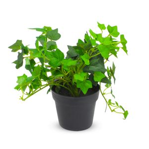 Planta decorativa de 25 cm artificial tipo HEDERA HELIX. - ORGILL
