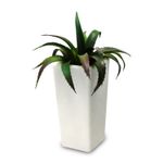 Plata-decorativa-artificial-de-apariencia-realista-tipo-ALOE-VERA.