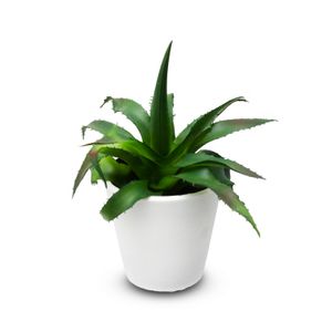 Planta decorativa de 15 cm artificial tipo MINI ALOE VERA. - ORGILL