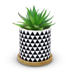 Planta decorativa de 14 cm artificial tipo MINI TILLANDSIA STRICTA. - DECORE