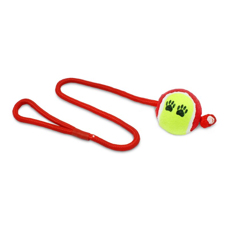 Juguete-para-perro-a-base-de-cuerda-nylon-con-pelota-de-tenis-rigida-resistente-a-jalones-y-mordiscos.