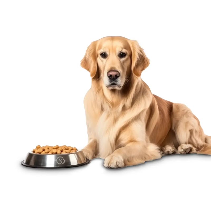 Plato-para-mascota-fabricado-en-acero-inoxidable--ideal-para-servir-alimento-a-mascotas-de-raza-grande.