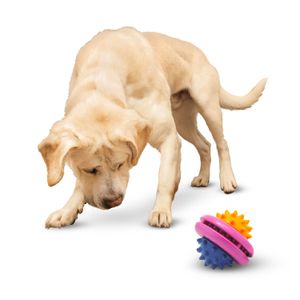 Juguete para perro en forma de GRANADA con puntas estimulantes rígidas. - VIDA DE PERRO