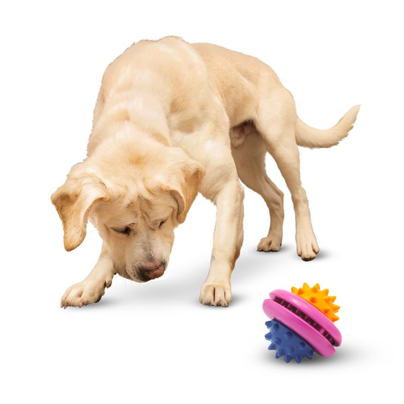 Juguete-para-perro-en-forma-de-GRANDA-con-puntas-estimulantes-rigidas.-Diseño-perfecto-para-jugar-y-calmar-el-estres.