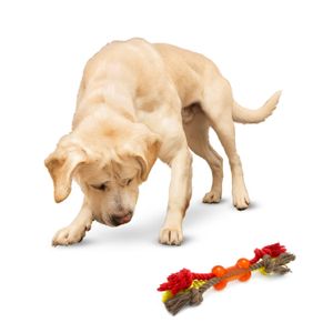 Juguete para perro tipo HUESO de lanzamiento. - DUKES