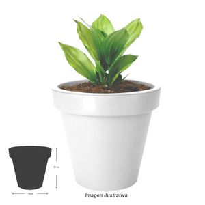 Maceta de 20 cm plástica de polipropileno. - PRO GARDEN