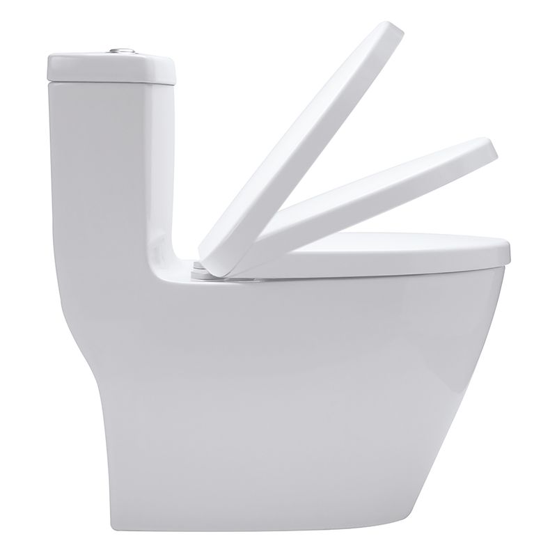 Wc-Fonte-Eco-Dual-A-Slow-Down-Push-Bl