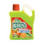 Desinfectante-liquido-multiuso-que-elimina-el-99.9--de-virus-y-bacterias-de-1-gl