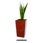 Maceta-cuadrada-alargada-de-53-cm-de-plastico-modelo---12.