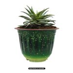 Maceta-redonda-de-18-cm-de-polipropileno-modelo-7