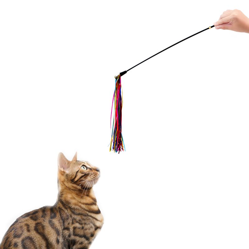 Juguete-para-gato-de-60-cm-color-negro-con-mango-de-gamusa.