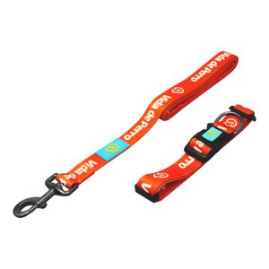 Arnés con correa para perro de nylon reforzado de 40 cm y correa de 65 cm. - VIDA DE PERRO