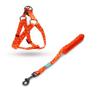Arnés con correa para perro de nylon de 35,8 cm y correa de 50 cm. - VIDA DE PERRO