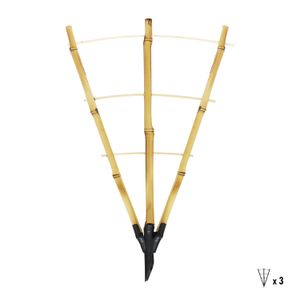 Espaldar para plantas trepadoras con estructura triangular de bambú. - LA MACETA