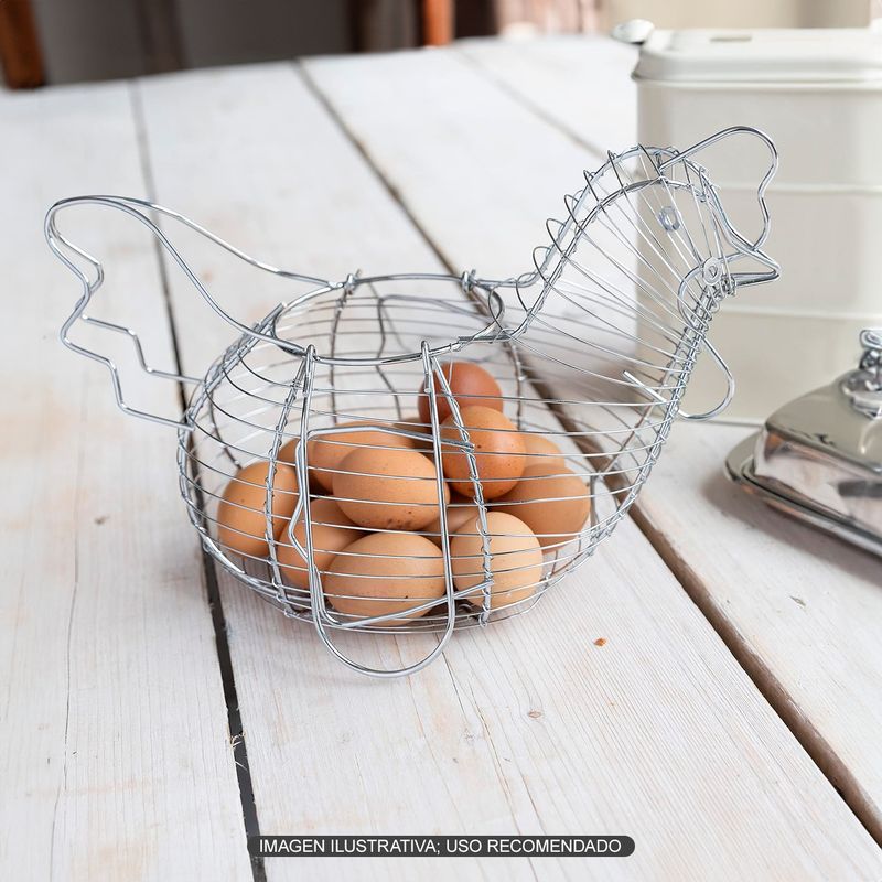 Organizador-de-huevos-con-estructura-de-acero-inoxidable-tipo-GALLINA.