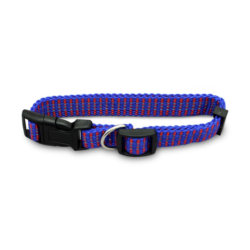 Collar-para-perro-de-nylon-ultra-resistente-de-35.5-a-50-cm.
