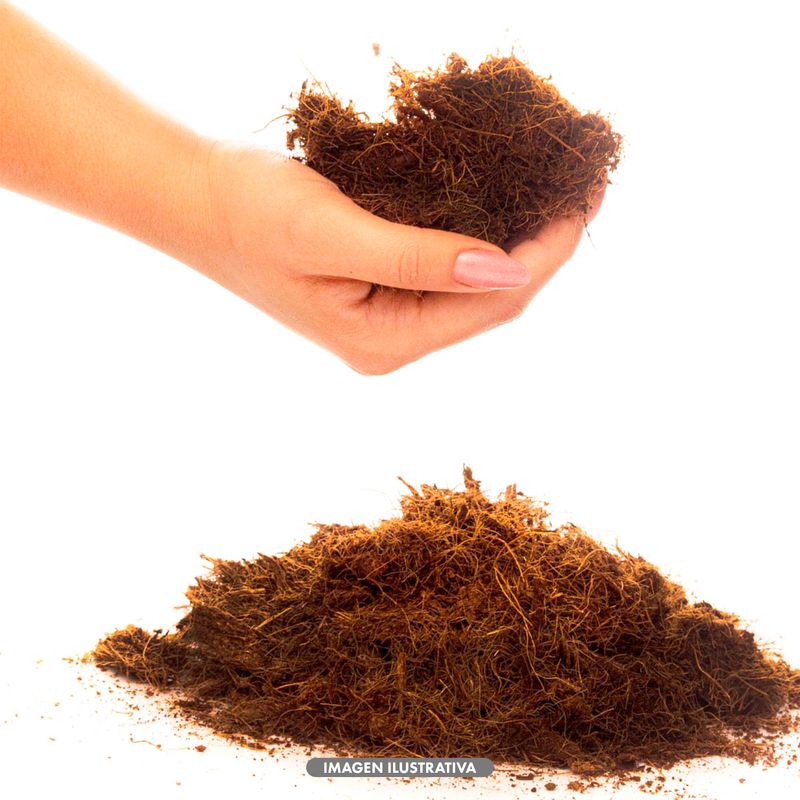 Fibra-de-palma-acolchada-100--natural--2-kg.