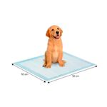 Pads-de-entrenamiento-para-mascotas-con-tejido-superior-absorbente.
