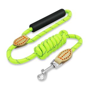 Correa para perro de poliéster de 116 cm. - DUKES